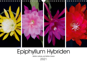 Epiphyllum-Hybriden (Wandkalender 2021 DIN A3 quer) von Gierok,  Steffen, Latniak,  Steffen