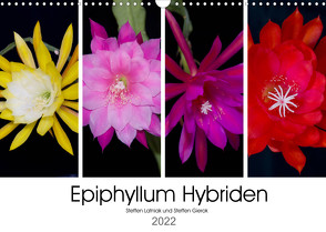 Epiphyllum-Hybriden (Wandkalender 2022 DIN A3 quer) von Gierok,  Steffen, Latniak,  Steffen