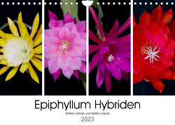 Epiphyllum-Hybriden (Wandkalender 2023 DIN A4 quer) von Gierok,  Steffen, Latniak,  Steffen