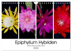 Epiphyllum-Hybriden (Wandkalender 2024 DIN A4 quer), CALVENDO Monatskalender von Gierok,  Steffen Latniak,  Steffen