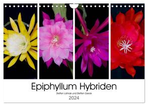 Epiphyllum-Hybriden (Wandkalender 2024 DIN A4 quer), CALVENDO Monatskalender von Gierok,  Steffen Latniak,  Steffen