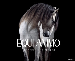 EQUI Animo – Die Seele der Pferde von Haas,  Wiebke