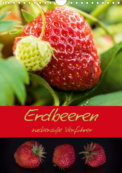 Erdbeeren – zuckersüße Verführer (Wandkalender 2021 DIN A4 hoch) von Teßen,  Sonja
