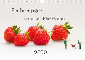 Erdbeerjäger … und andere Mini-Welten (Wandkalender 2020 DIN A4 quer) von Bogumil,  Michael