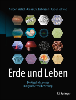 Erde und Leben von Liebmann,  Claus Chr., Schwab,  Jürgen, Welsch,  Norbert