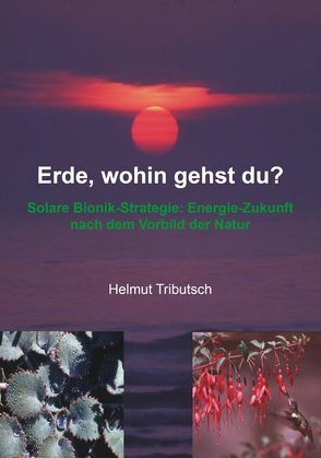 Erde, wohin gehst du? von Tributsch,  Helmut