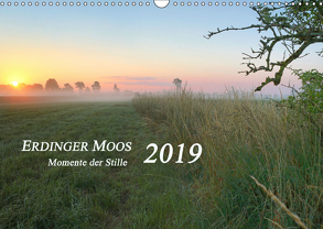 Erdinger Moos 2019 – Momente der Stille (Wandkalender 2019 DIN A3 quer) von Neßler,  Antje