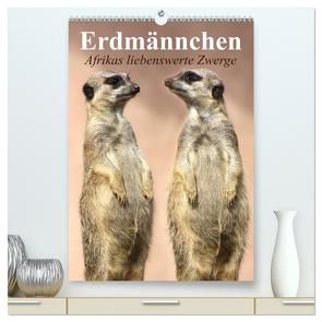 Erdmännchen – Afrikas liebenswerte Zwerge (hochwertiger Premium Wandkalender 2024 DIN A2 hoch), Kunstdruck in Hochglanz von Stanzer,  Elisabeth