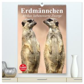 Erdmännchen – Afrikas liebenswerte Zwerge (hochwertiger Premium Wandkalender 2024 DIN A2 hoch), Kunstdruck in Hochglanz von Stanzer,  Elisabeth