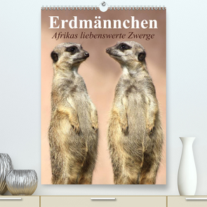 Erdmännchen – Afrikas liebenswerte Zwerge (Premium, hochwertiger DIN A2 Wandkalender 2023, Kunstdruck in Hochglanz) von Stanzer,  Elisabeth
