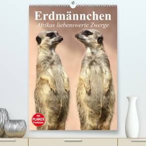 Erdmännchen – Afrikas liebenswerte Zwerge (Premium, hochwertiger DIN A2 Wandkalender 2023, Kunstdruck in Hochglanz) von Stanzer,  Elisabeth