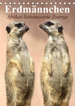 Erdmännchen – Afrikas liebenswerte Zwerge (Tischkalender 2023 DIN A5 hoch) von Stanzer,  Elisabeth