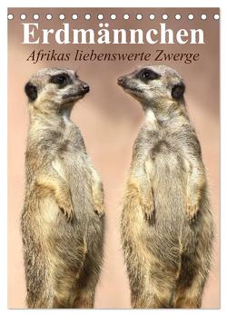 Erdmännchen – Afrikas liebenswerte Zwerge (Tischkalender 2024 DIN A5 hoch), CALVENDO Monatskalender von Stanzer,  Elisabeth