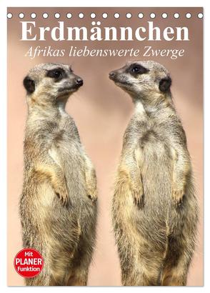 Erdmännchen – Afrikas liebenswerte Zwerge (Tischkalender 2024 DIN A5 hoch), CALVENDO Monatskalender von Stanzer,  Elisabeth