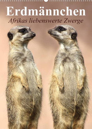 Erdmännchen – Afrikas liebenswerte Zwerge (Wandkalender 2023 DIN A2 hoch) von Stanzer,  Elisabeth