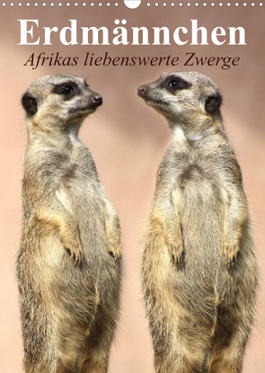 Erdmännchen – Afrikas liebenswerte Zwerge (Wandkalender 2023 DIN A3 hoch) von Stanzer,  Elisabeth
