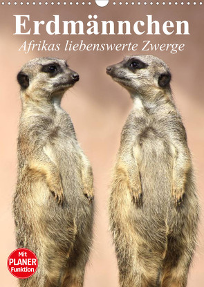 Erdmännchen – Afrikas liebenswerte Zwerge (Wandkalender 2023 DIN A3 hoch) von Stanzer,  Elisabeth