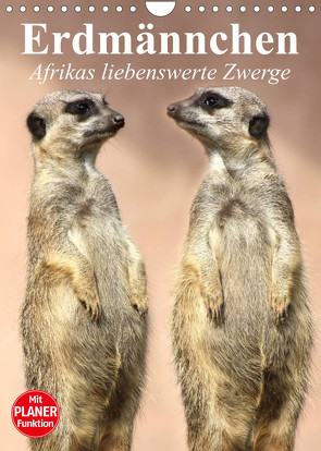 Erdmännchen – Afrikas liebenswerte Zwerge (Wandkalender 2023 DIN A4 hoch) von Stanzer,  Elisabeth