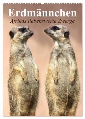 Erdmännchen – Afrikas liebenswerte Zwerge (Wandkalender 2024 DIN A2 hoch), CALVENDO Monatskalender von Stanzer,  Elisabeth