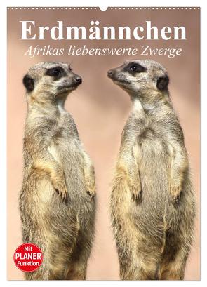 Erdmännchen – Afrikas liebenswerte Zwerge (Wandkalender 2024 DIN A2 hoch), CALVENDO Monatskalender von Stanzer,  Elisabeth
