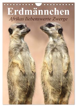 Erdmännchen – Afrikas liebenswerte Zwerge (Wandkalender 2024 DIN A4 hoch), CALVENDO Monatskalender von Stanzer,  Elisabeth