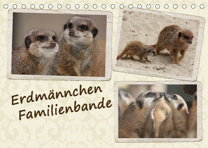 Erdmännchen Familienbande (Tischkalender 2023 DIN A5 quer) von Chawera