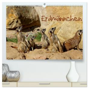 Erdmännchen (hochwertiger Premium Wandkalender 2024 DIN A2 quer), Kunstdruck in Hochglanz von Hultsch,  Heike