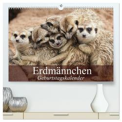 Erdmännchen (hochwertiger Premium Wandkalender 2024 DIN A2 quer), Kunstdruck in Hochglanz von Stanzer,  Elisabeth