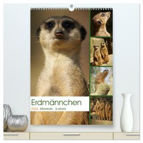 Erdmännchen-Meerkats-Surikate (hochwertiger Premium Wandkalender 2024 DIN A2 hoch), Kunstdruck in Hochglanz von Hebgen,  Peter