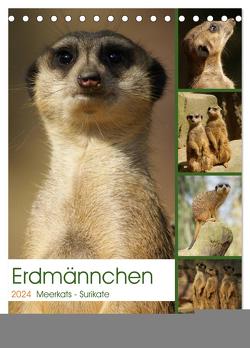 Erdmännchen-Meerkats-Surikate (Tischkalender 2024 DIN A5 hoch), CALVENDO Monatskalender von Hebgen,  Peter