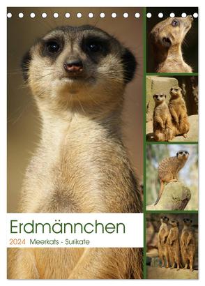 Erdmännchen-Meerkats-Surikate (Tischkalender 2024 DIN A5 hoch), CALVENDO Monatskalender von Hebgen,  Peter