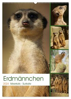 Erdmännchen-Meerkats-Surikate (Wandkalender 2024 DIN A2 hoch), CALVENDO Monatskalender von Hebgen,  Peter