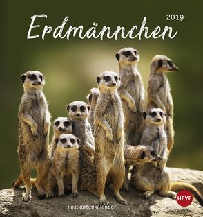 Erdmännchen Postkartenkalender – Kalender 2019 von Heye