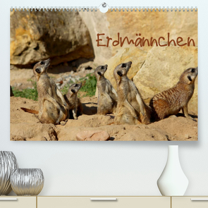 Erdmännchen (Premium, hochwertiger DIN A2 Wandkalender 2023, Kunstdruck in Hochglanz) von Hultsch,  Heike