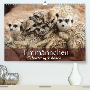 Erdmännchen (Premium, hochwertiger DIN A2 Wandkalender 2023, Kunstdruck in Hochglanz) von Stanzer,  Elisabeth