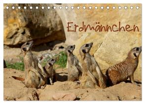 Erdmännchen (Tischkalender 2024 DIN A5 quer), CALVENDO Monatskalender von Hultsch,  Heike