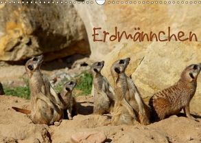 Erdmännchen (Wandkalender 2018 DIN A3 quer) von Hultsch,  Heike
