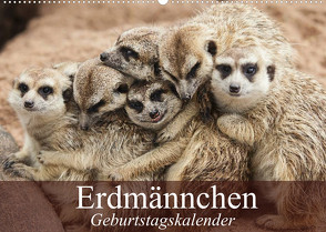 Erdmännchen (Wandkalender 2023 DIN A2 quer) von Stanzer,  Elisabeth