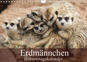 Erdmännchen (Wandkalender 2023 DIN A4 quer) von Stanzer,  Elisabeth