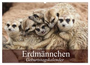 Erdmännchen (Wandkalender 2024 DIN A2 quer), CALVENDO Monatskalender von Stanzer,  Elisabeth