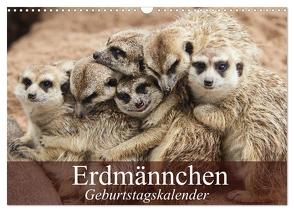 Erdmännchen (Wandkalender 2024 DIN A3 quer), CALVENDO Monatskalender von Stanzer,  Elisabeth