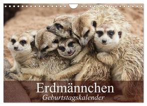 Erdmännchen (Wandkalender 2024 DIN A4 quer), CALVENDO Monatskalender von Stanzer,  Elisabeth