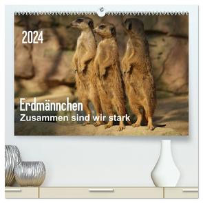 Erdmännchen – Zusammen sind wir stark (hochwertiger Premium Wandkalender 2024 DIN A2 quer), Kunstdruck in Hochglanz von Hebgen,  Peter