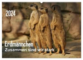 Erdmännchen – Zusammen sind wir stark (Wandkalender 2024 DIN A2 quer), CALVENDO Monatskalender von Hebgen,  Peter