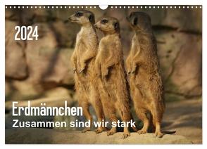 Erdmännchen – Zusammen sind wir stark (Wandkalender 2024 DIN A3 quer), CALVENDO Monatskalender von Hebgen,  Peter