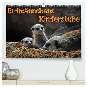 Erdmännchens Kinderstube (hochwertiger Premium Wandkalender 2024 DIN A2 quer), Kunstdruck in Hochglanz von Laue,  Ingo