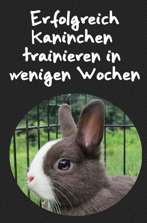 Erfolgreich Kaninchen trainieren in wenigen Wochen von check,  Powerlifting
