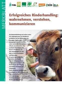 Erfolgreiches Rinderhandling: wahrnehmen, verstehen, kommunizieren von Probst,  Johanna, Spengler Neff,  Anet