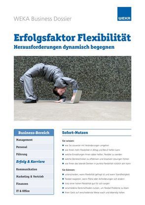 Erfolgsfaktor Flexibilität von Konnerth,  Tania