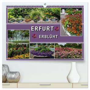 Erfurt erblüht (hochwertiger Premium Wandkalender 2024 DIN A2 quer), Kunstdruck in Hochglanz von & Hermann Koch,  Elke